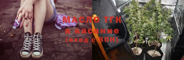 хмурый Алзамай