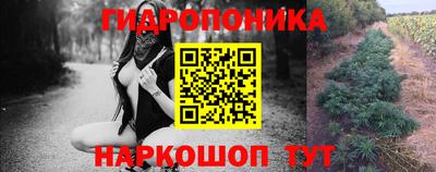 марихуана Лесосибирск