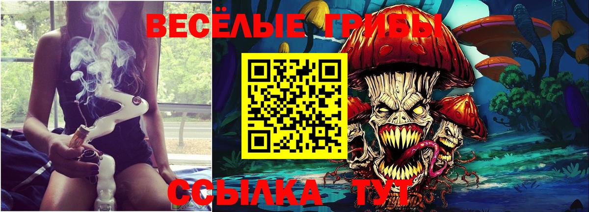 Псилоцибиновые грибы Magic Shrooms Каменск-Уральский